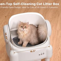 Automatic Litter Box