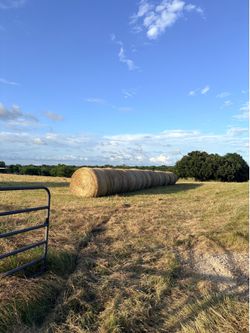 Hay for sale