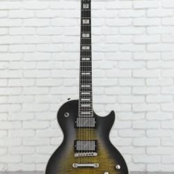 Epiphone Prophecy 
