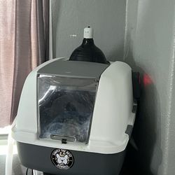 Incubator 
