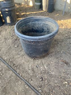 Plant Pots