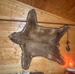 Bear rug