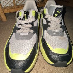Some Grey, Black, White, And  Green Pumas