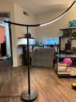 Black Arc LED Floor Lamp ( OBO )