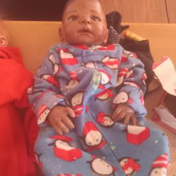 2 Reborn Dolls And A MASTER piece Doll