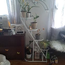 White Heart Shaped Plant Stand