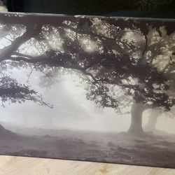 Meadow dream trees Canvas 55x22 picture