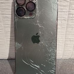 IPhone 13 Pro Max, need gone