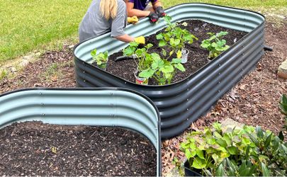 Two Raised Garden Beds