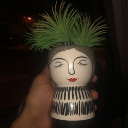 Excite Litttle Pott Cute Succulent Decoration Fake Artificial 