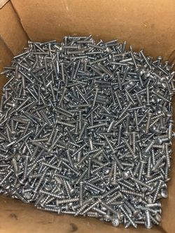 Phillips Tapping Screws Pan HD