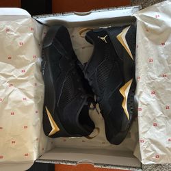 Brand New Jordan’s Black And Gold 