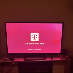 “60” Inch Flat Screen TV