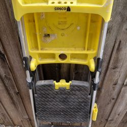 Tall Step Ladder