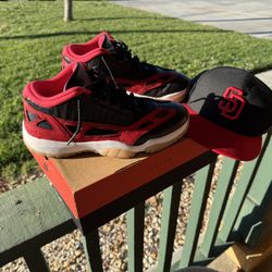 Custom Jordan 11 Low