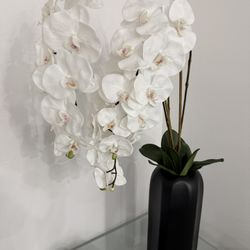 New Potted White Orchid Home Decoration, 37 Inches, Perfect Condition. Was $200 From Gallery