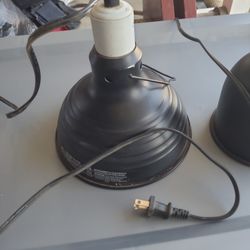Reptile Heat Lamps