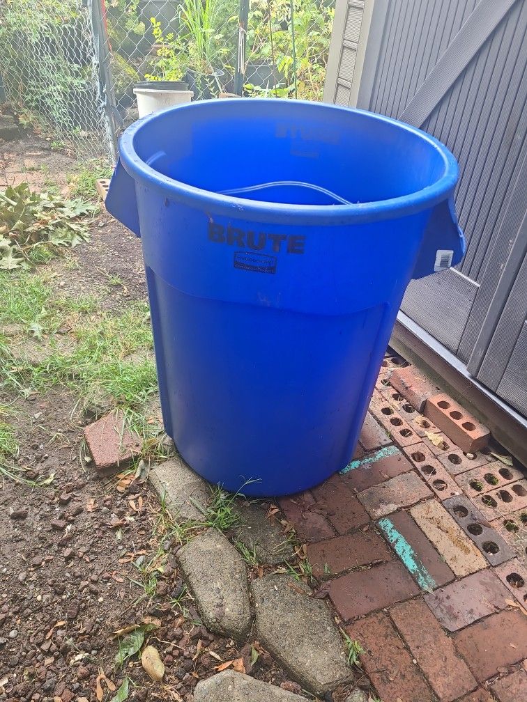 Container 