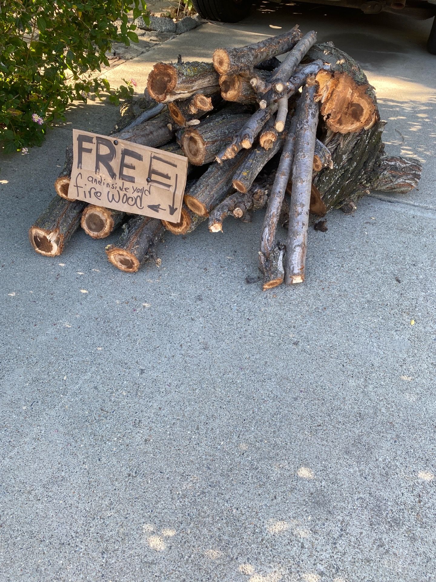 Free firewood