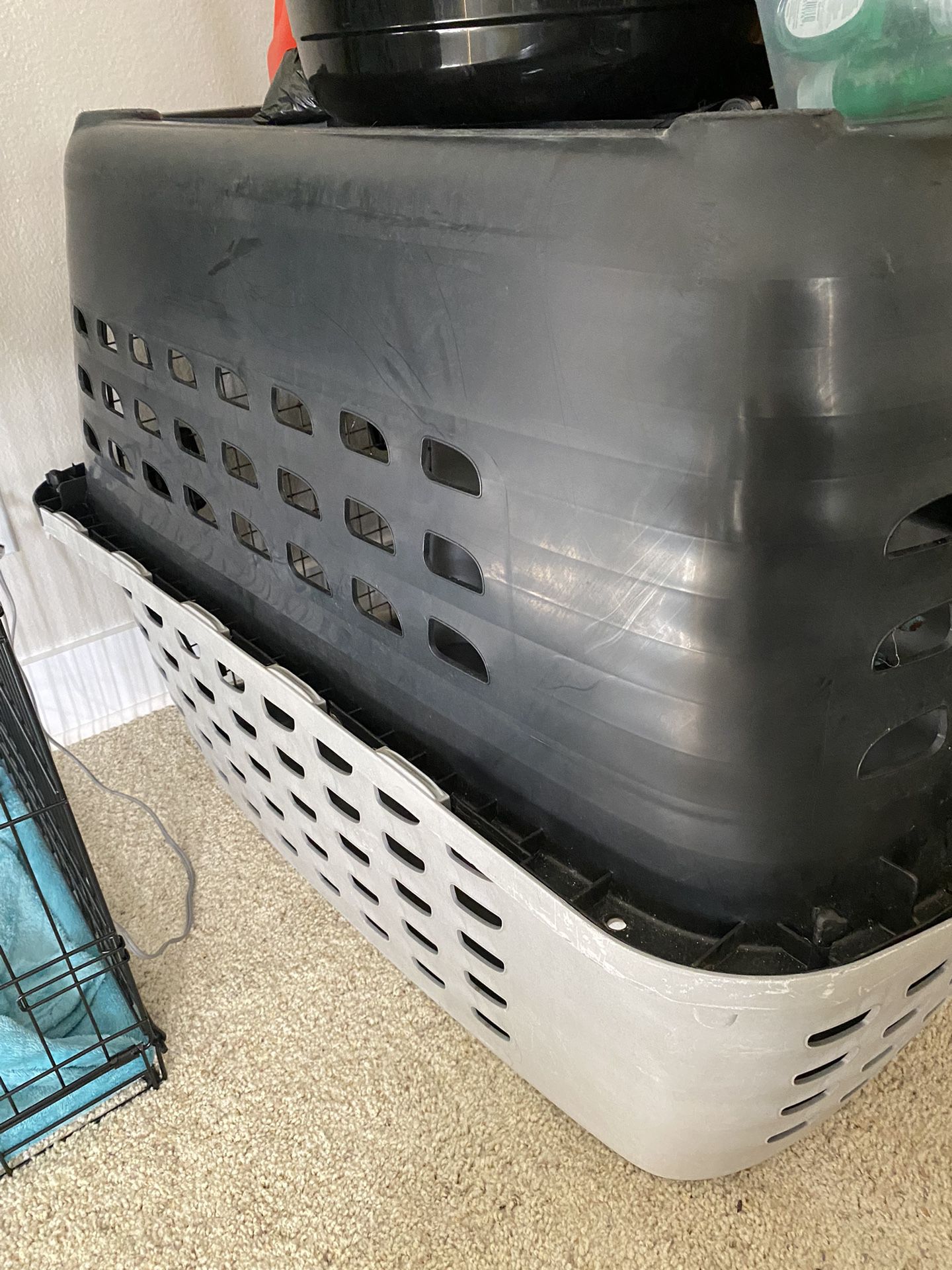 Gently used dog crate
