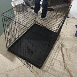 Large Dog Kennel