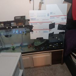 55 Gallon Tall Aquarium