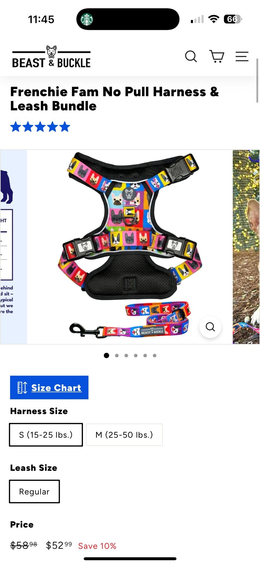 Dog Harness Beast And Buckle Harness Leash And Jacket For French Bulldog