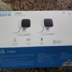 Blink Mini Security Camaras