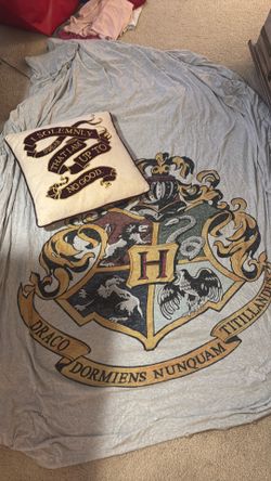 Harry Potter comforter cover and pilllow