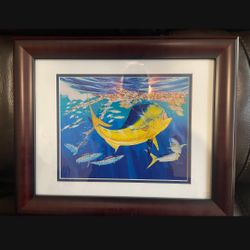 Guy. Harvey Dolphin Oasis Framed Print. 