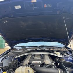 2016 mustang GT hood ONLY