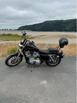2005 Harley sportster 883