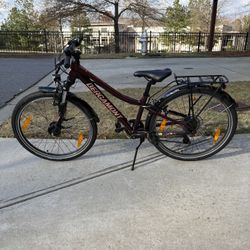 24” Bergamont Revox Junior Bike