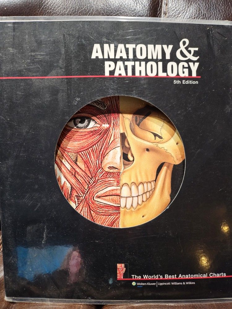 Anatomy & Pathology 5th Edition Fine Shape