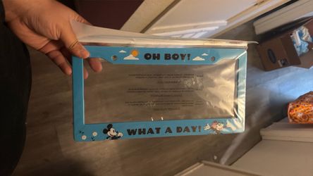 License plate cover