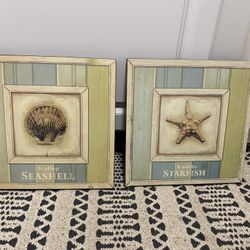 Two Seashell Pictures 