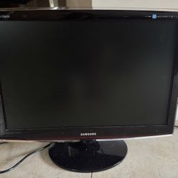 Computer Monitor 