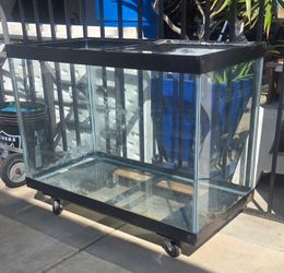Large Glass Aquarium Tank