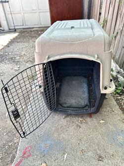 Large Plastic Pet Travel Crate