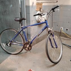 Raleigh Bike 