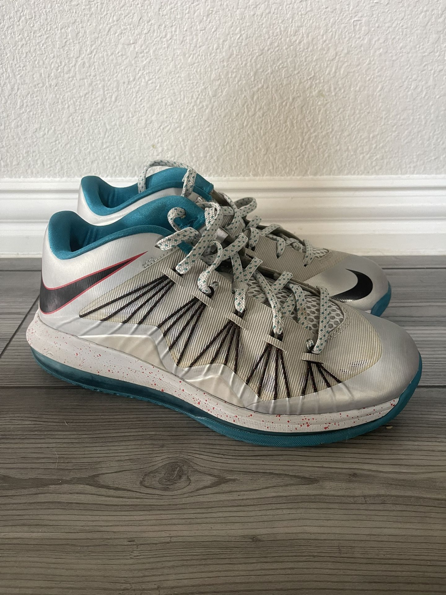 Nike LeBron Low Akron Shoes