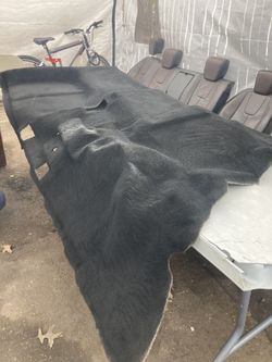 Repaint Carpet/ Upholstery