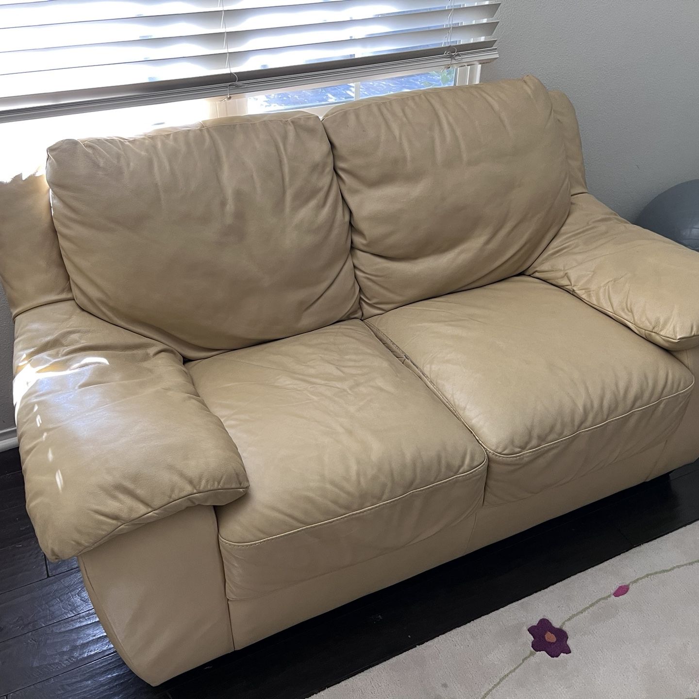 2 Seats Leather Sofa Italsofa Brand