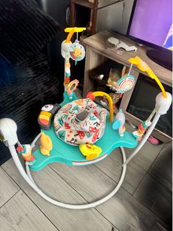 Fisher-Price Baby Jumperoo Activity Center