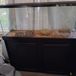 50 Gallon Tank And Stand