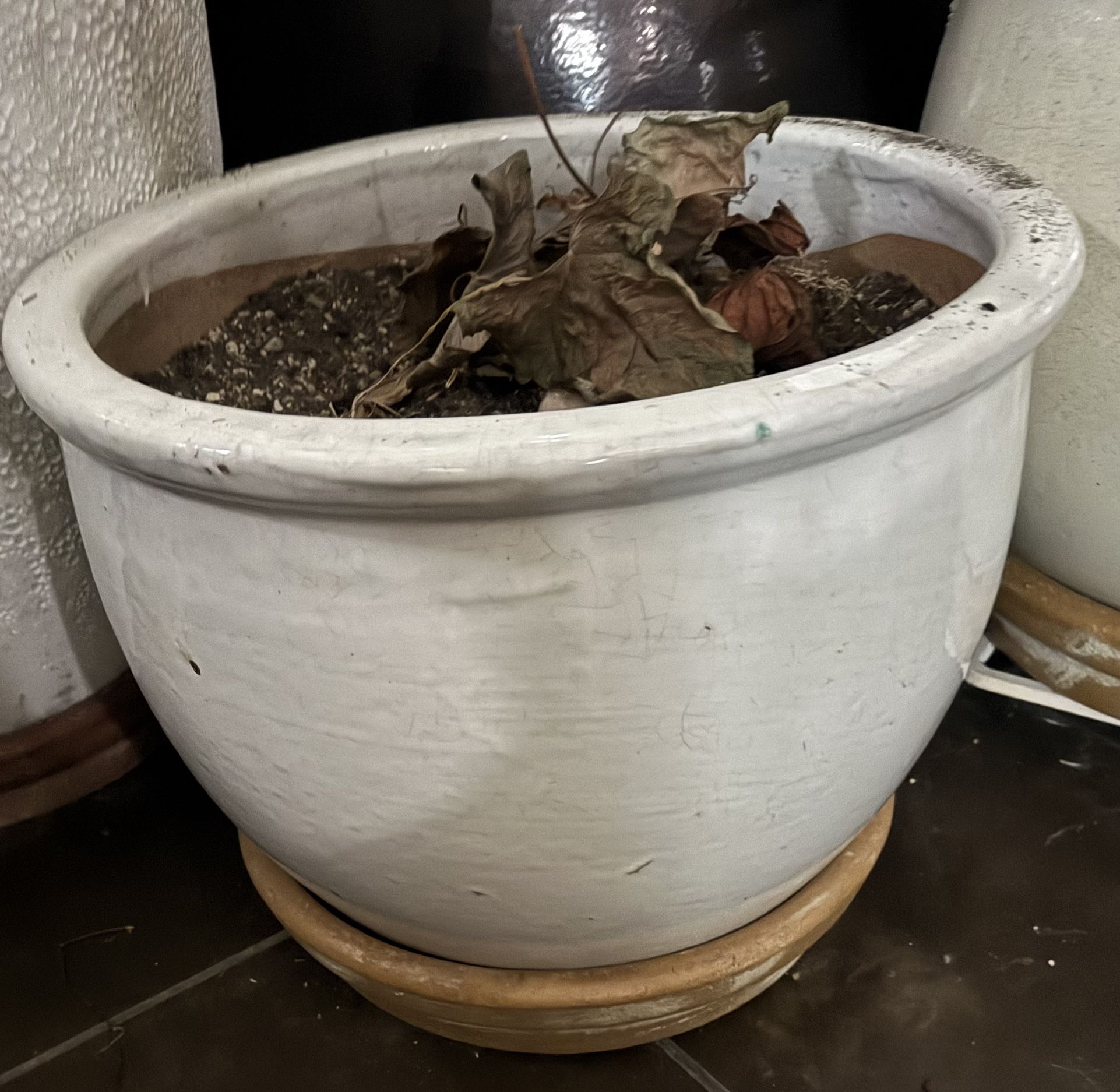 Glaze White Planter / Pot