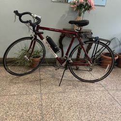 Schwinn Bike 