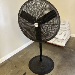 Fan 