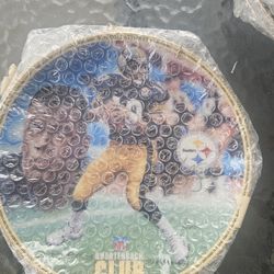 NFL collectable plate