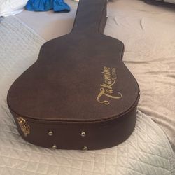 Guitar Case 